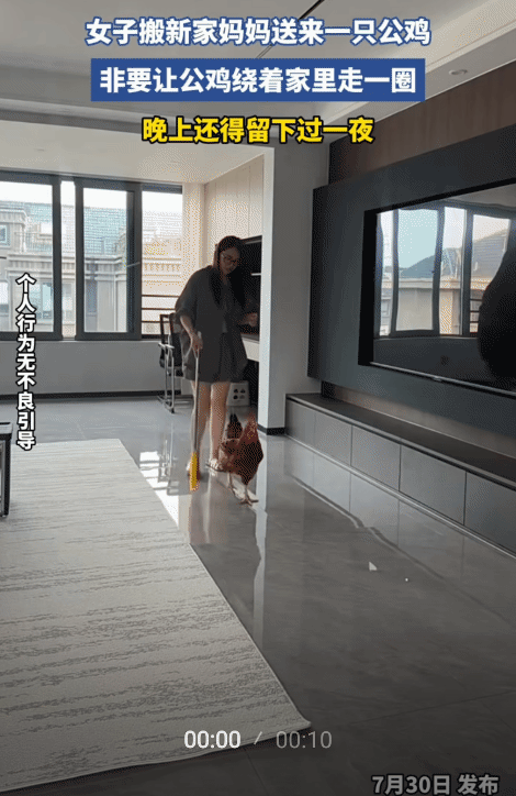 “笑不活了！”女子搬新家，没想到，妈妈给她送来一只公鸡。妈妈说: “让公鸡在每个