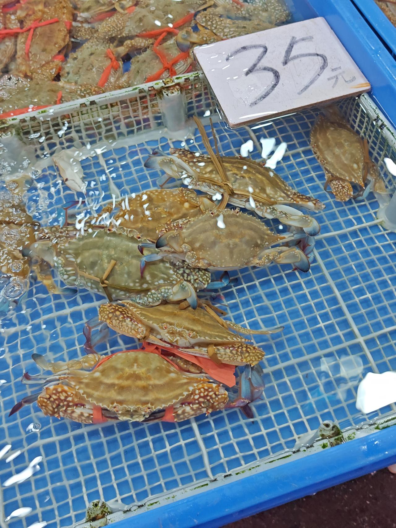 梭子蟹/冬蟹（三疣梭子蟹）35/斤，规格不小。
但看照片没意义，要上手掂量，看实