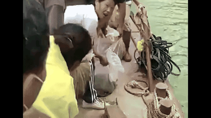 这些心地善良的人，为什么要把这些蛇放到水里？美其名曰叫放生，但是带来的后果，她们