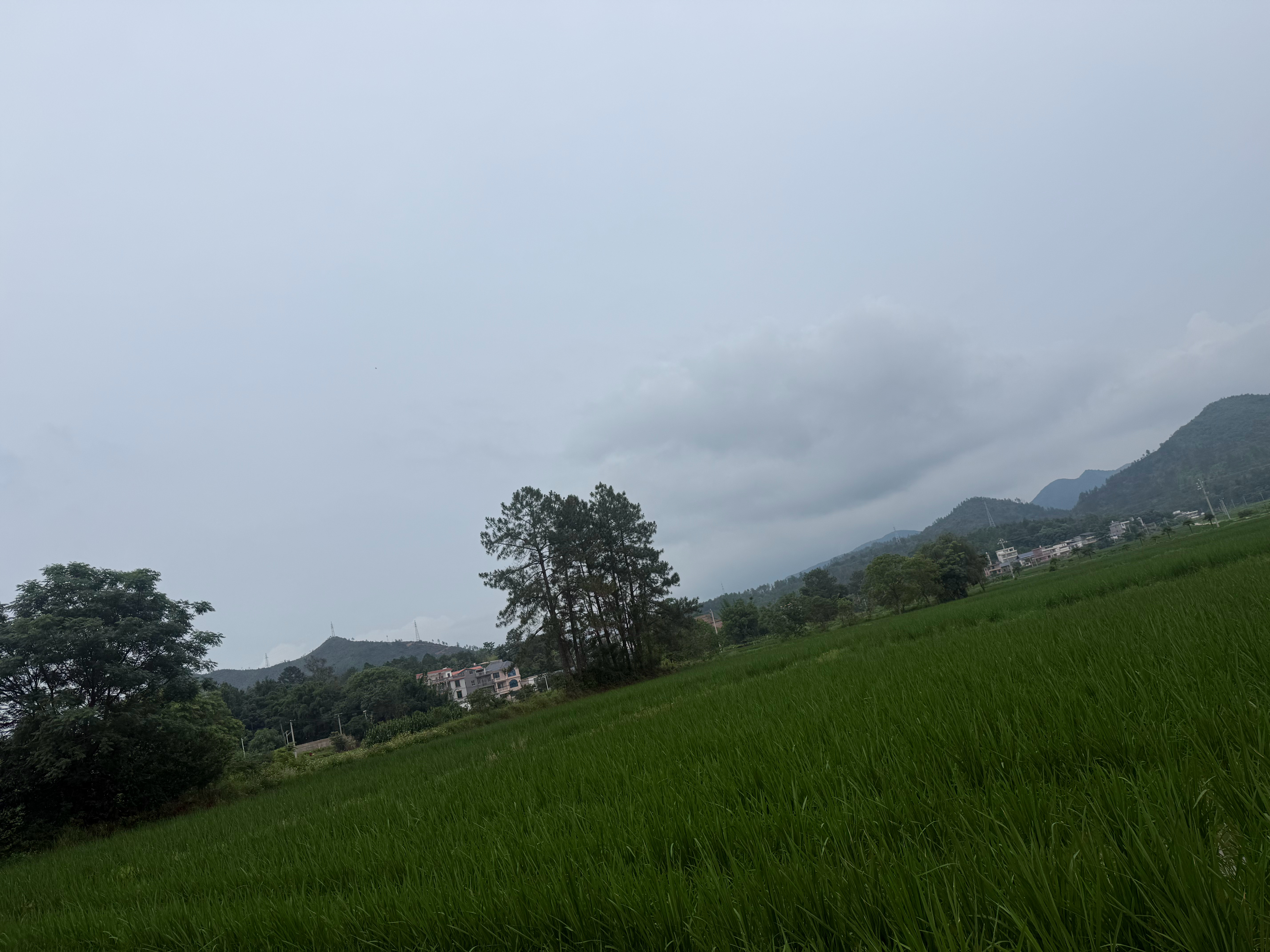 赣州早安 全力以赴是藏在行动里的力量，风雨无法阻挡。只管踏实奔赴、用心耕耘，前路