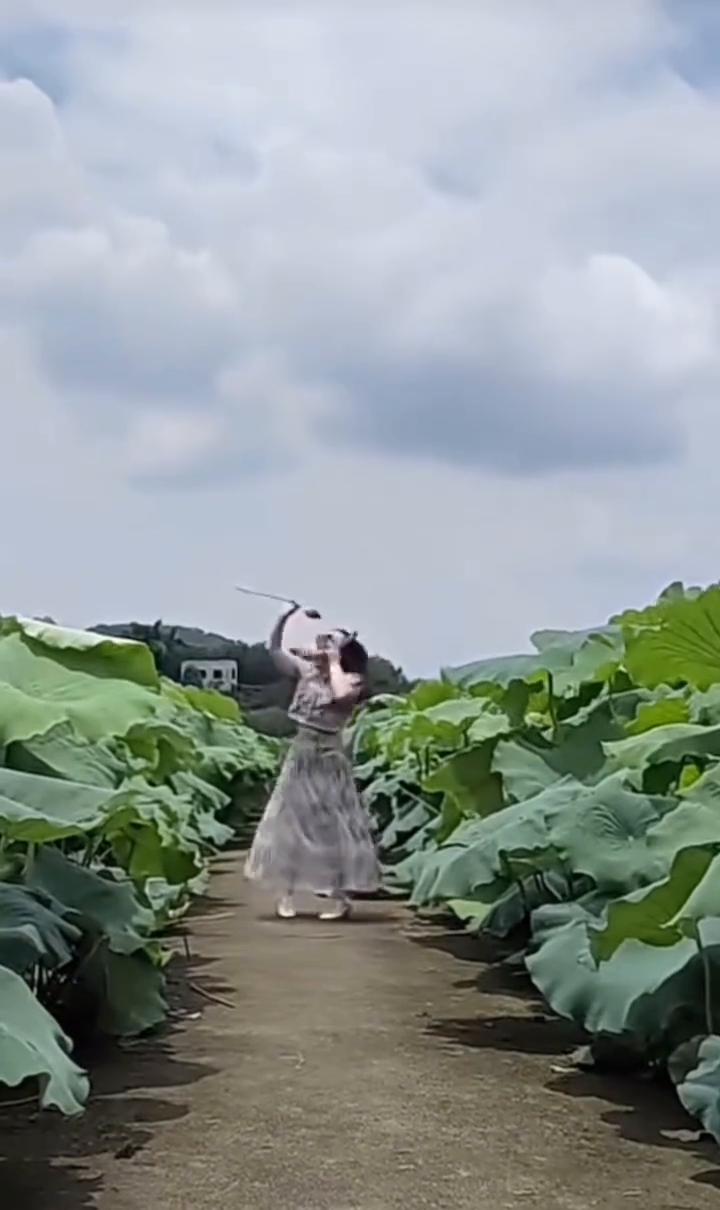 荷花依然香，当你宛在水中央。