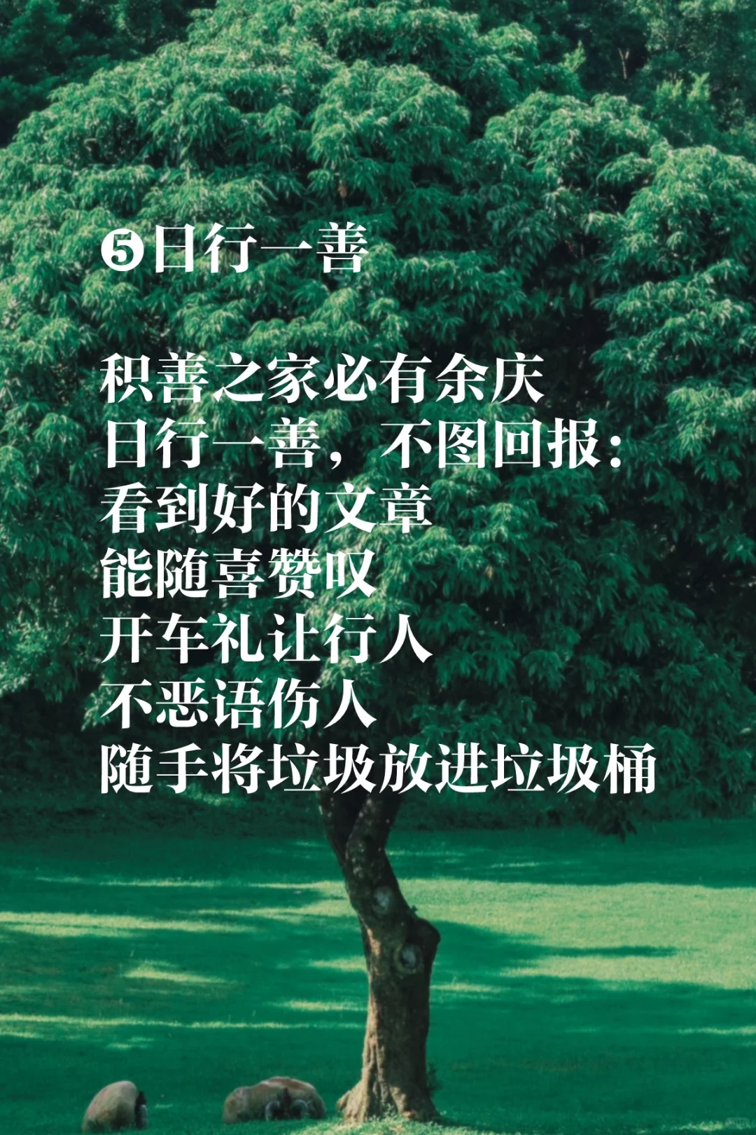 身弱之人，多做高能量的事