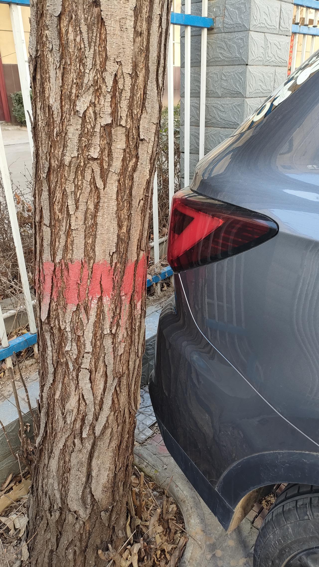 这停车的水平让我佩服。我试了好几次，倒一次，下车看一次，结果撞到树上了，只好放弃