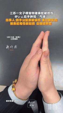 江苏一位女生养了条宠物猪鼻蛇，居然连着三四个星期都没给蛇喂食。当她拿镊子夹老鼠准