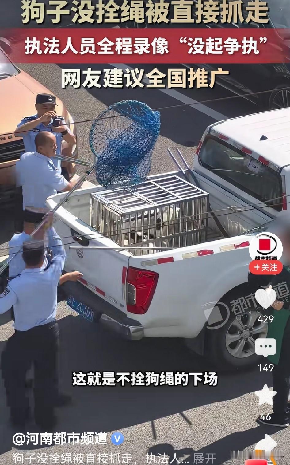 苏州的这个操作真的是建议全国推广！
有市民拍到，有关部门正在清理大街上没有拴绳的