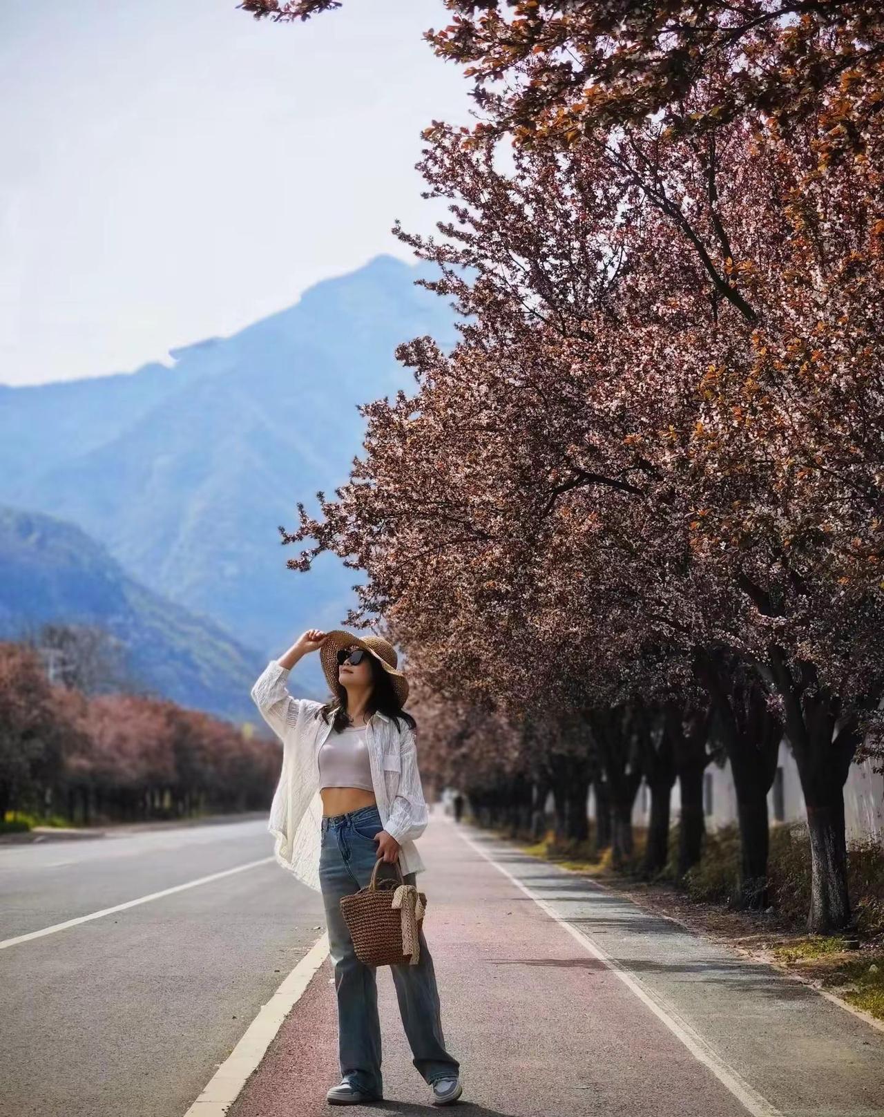 25年的李家岩村，幸运的是我去的时候没有什么车，人，不幸的是现在都是车，都是人，