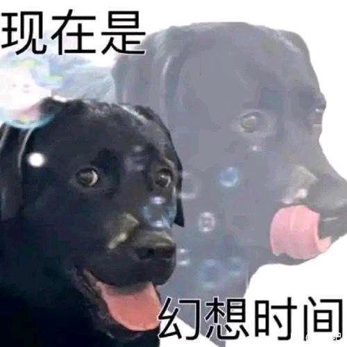 美释放韩公民现场空无一人从报道看，包机都从韩国飞过去了，说明双方原本确有协议。但