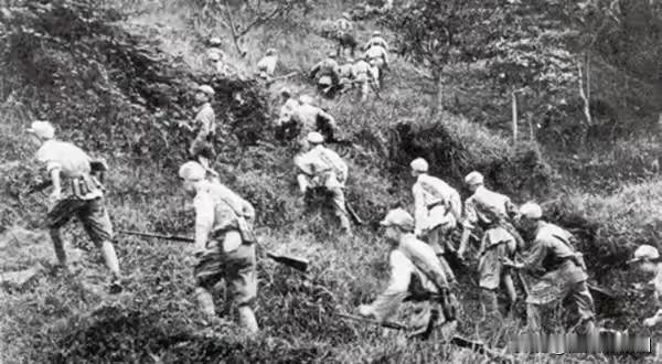 1950年7月底，由20多名武汉女大学生组成的南下工作队，在广西荔浦被土匪截杀，