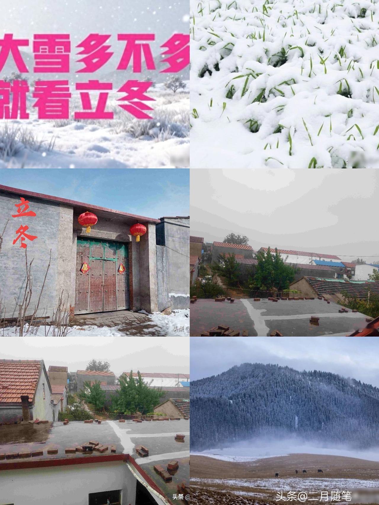 “大雪多不多，
就看立冬”，
今日立冬，今年冬天雪多冷到哭吗？

今儿个是202