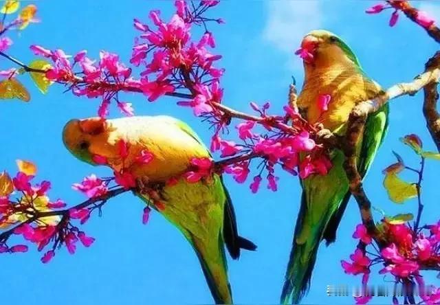 上联：冬去山明水秀，下联：请你来谢谢！[鼓掌]

上联：冬去山明水秀，
下联：春