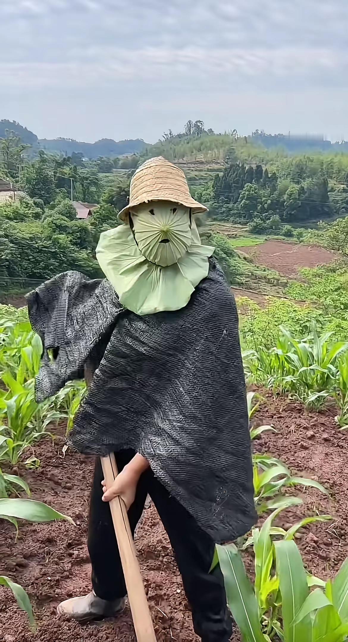 这应该是城里人都会羡慕的可食用防晒、补水、美肤、去油脂、止痒的纯天然防晒还不用花