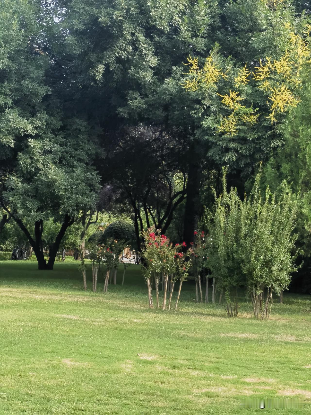 人生就是磨难，你认可吗人大半生的苦恨怨憎，常常缘于一些细枝末节，因为放不开，就以