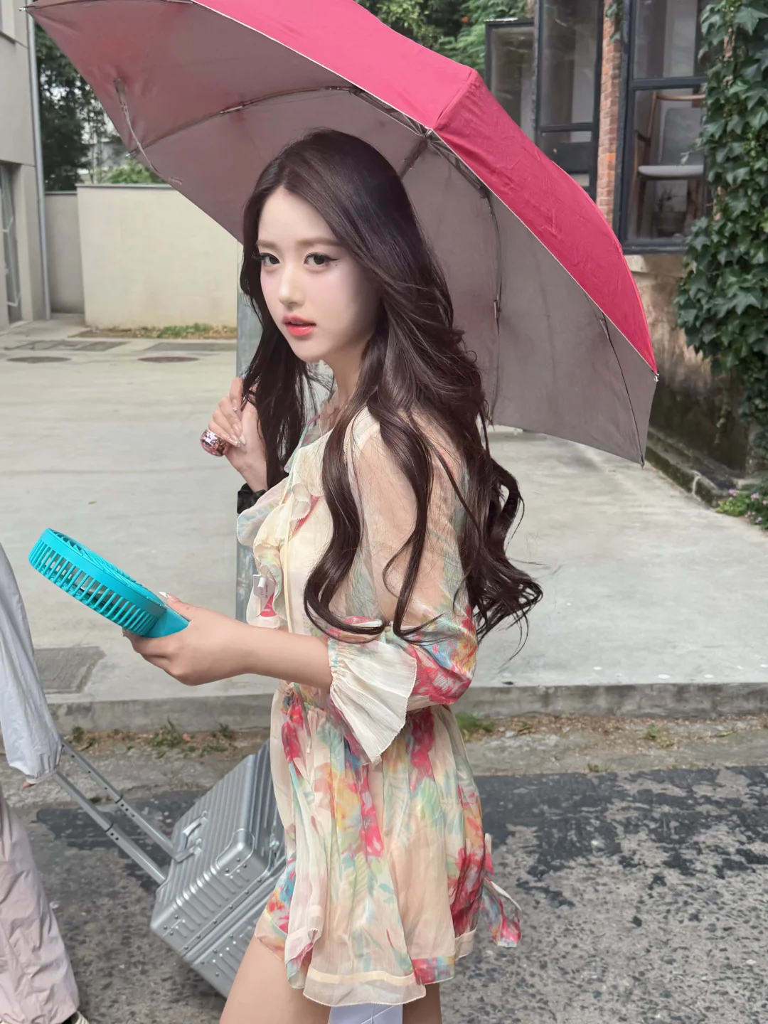 专心经营我的呆萌生活plog