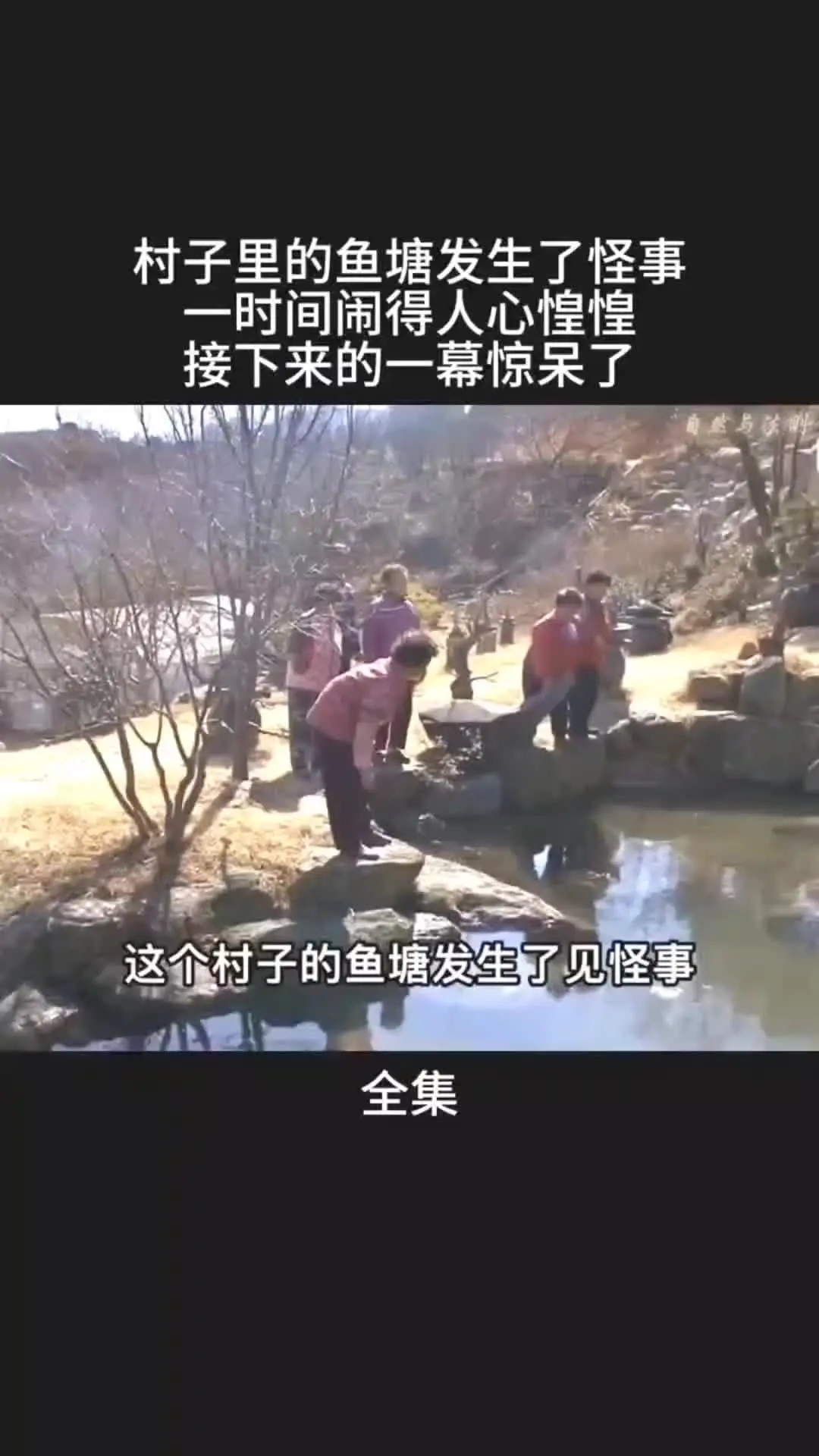 我的观影报告