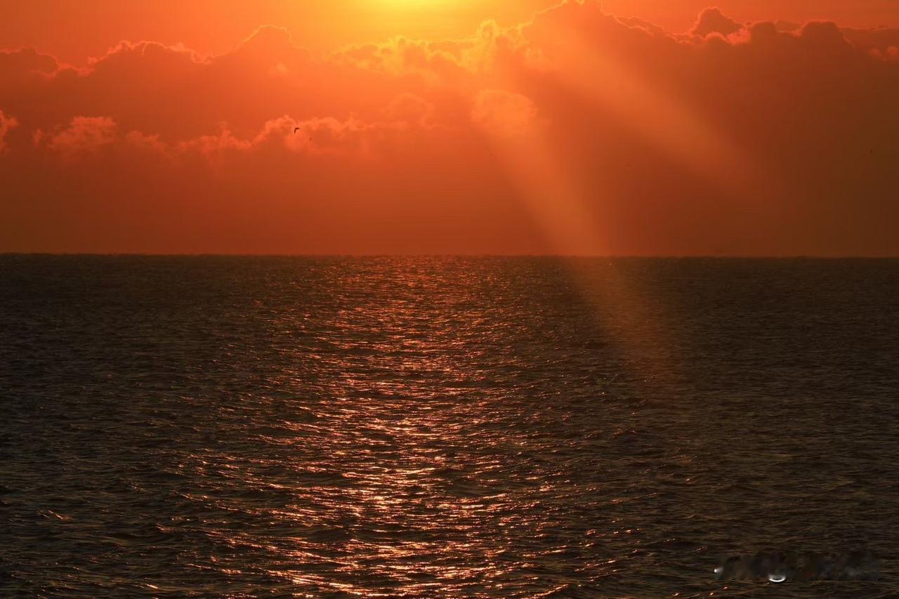 职场里最让人窒息的，从来不是高层的高压，也不是基层的琐碎，而是那些从底层爬上来，