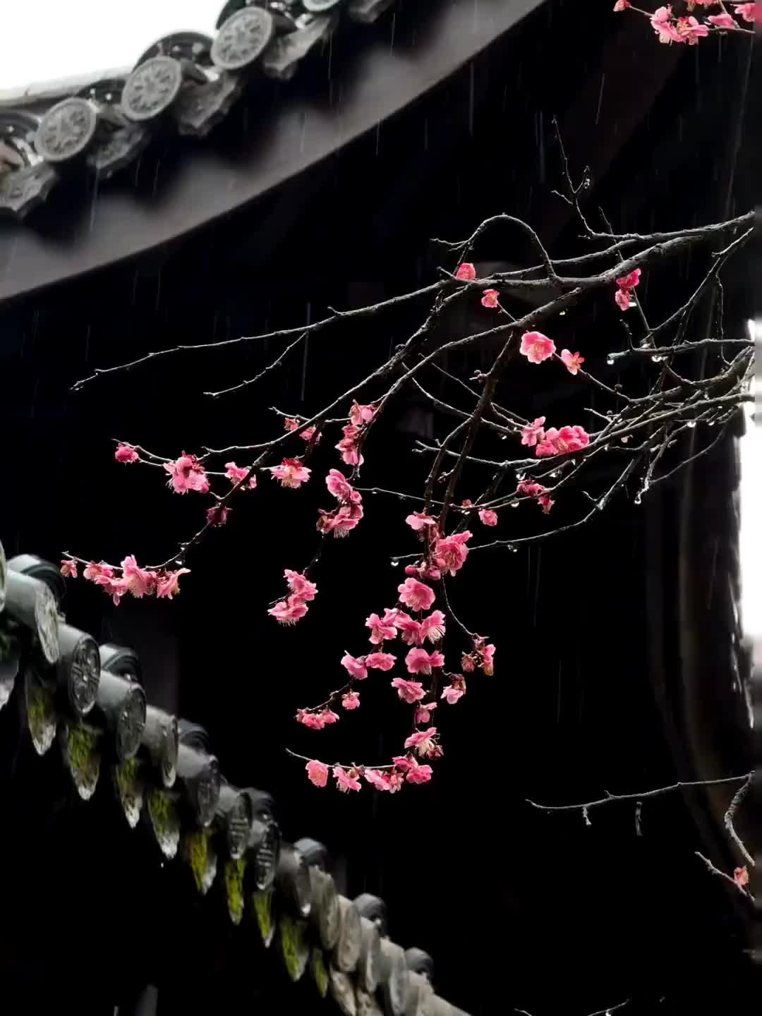 诗句自创