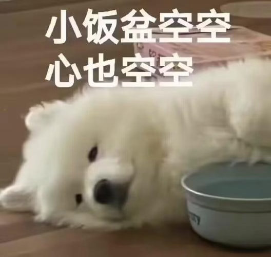 地球今天能给我孩子穿点漂亮衣服么