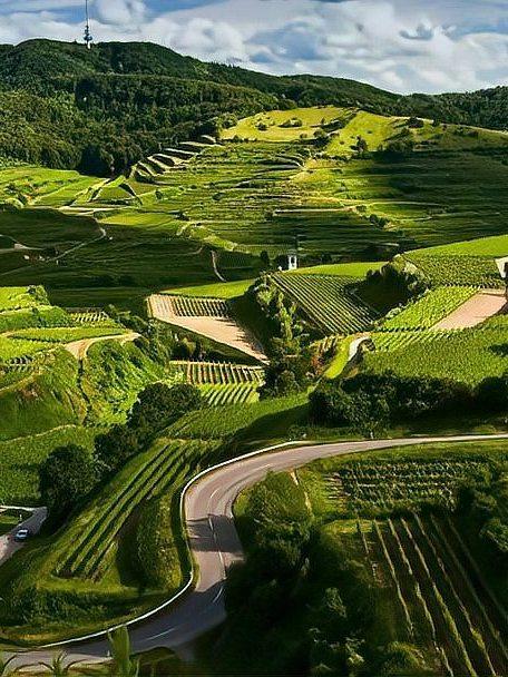 人生最好的积德方式：守好四善，福气自会一路相随
 
最近在各大社交平台，一段关于