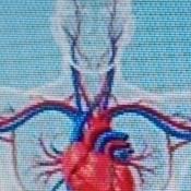 夜里睡不好，很可能就是气血不足在作祟。我之前也有过这样的经历，晚上翻来覆去睡不着