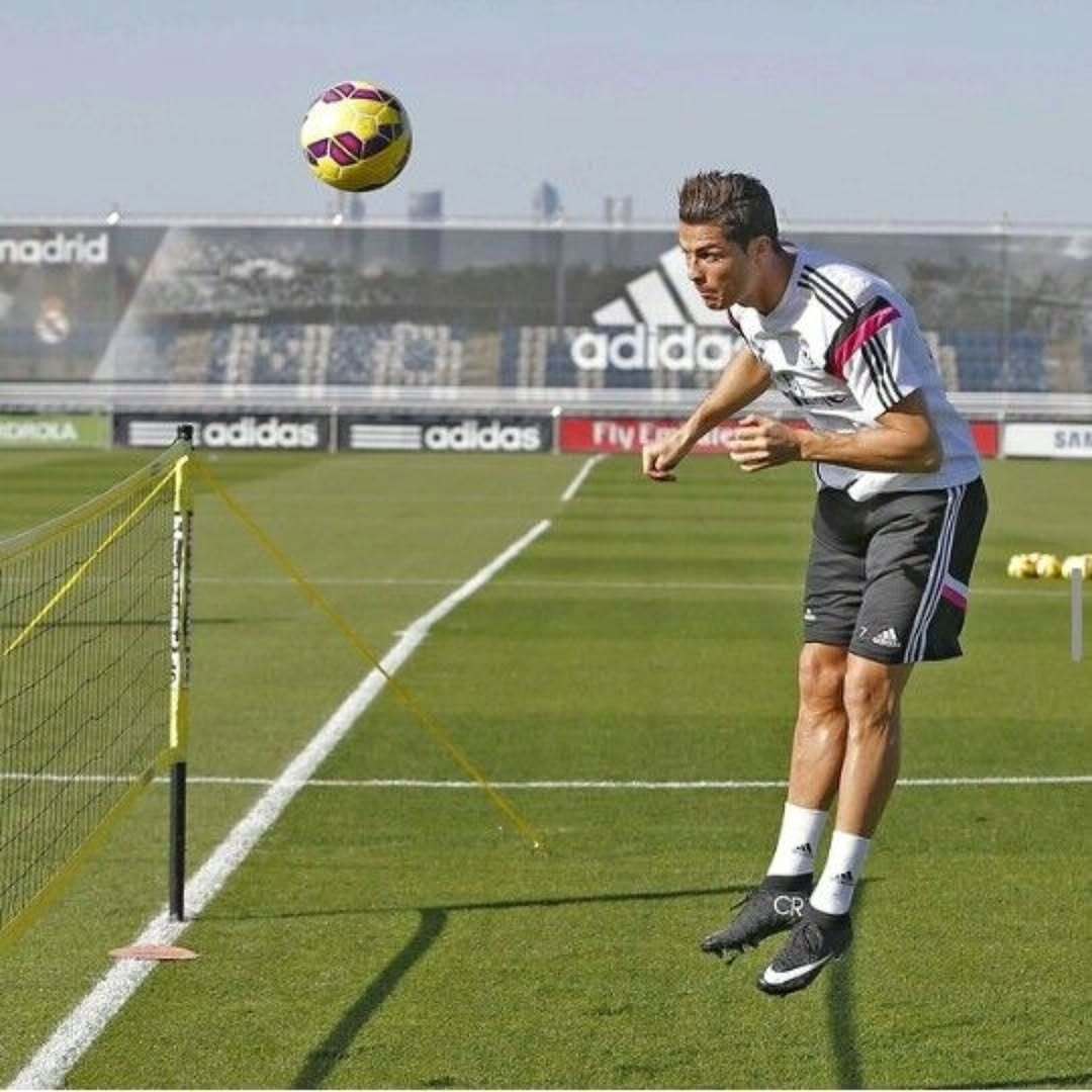 C罗c罗 海豹驯服皮球的影像 