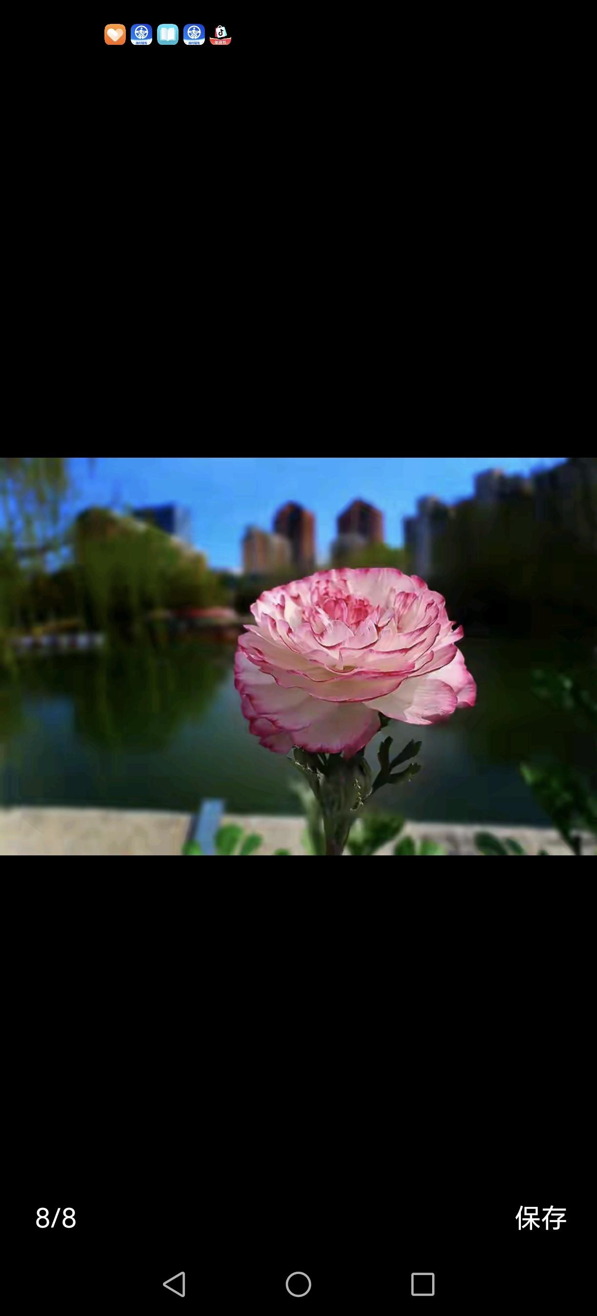 刘德华与朱丽倩：藏在光环背后的爱，是半生隐忍，更是双向奔赴

提起刘德华，许多人