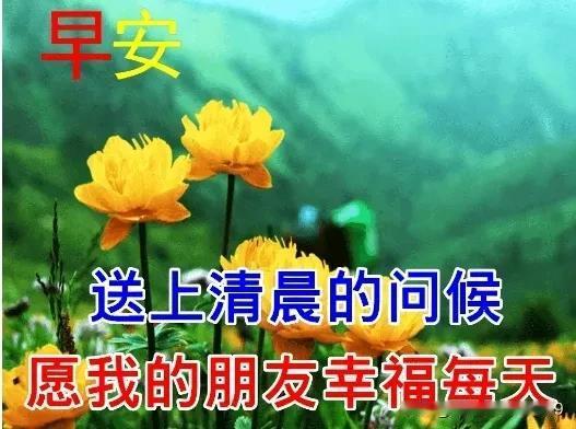 早安吉祥！新天快乐！
佳作欣赏！文采斐然！
图文并茂！写的真好！
才华横溢！支持