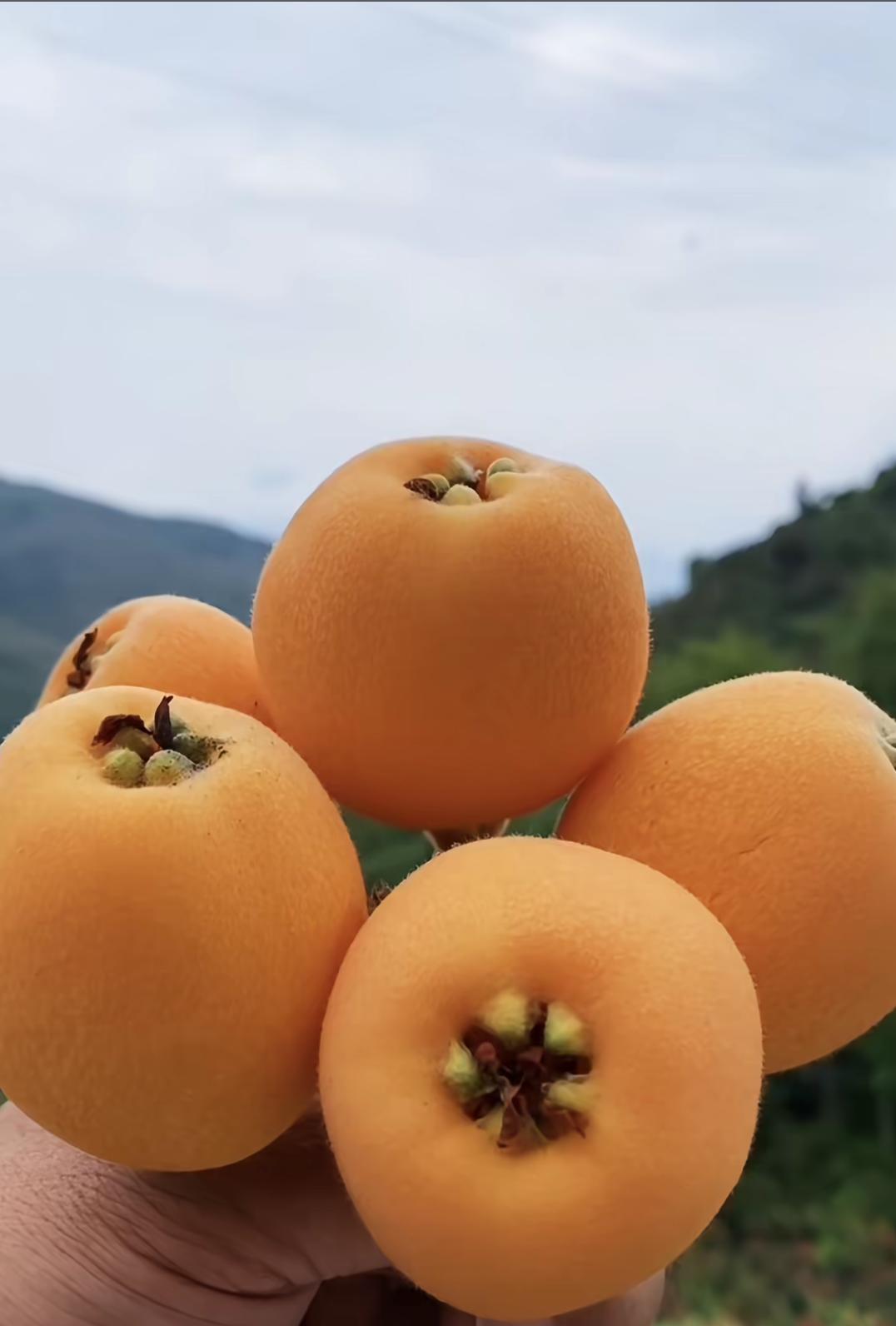 今日A股三大指数集体回调，市场整体呈现调整态势，但部分板块表现活跃，与指数形成反