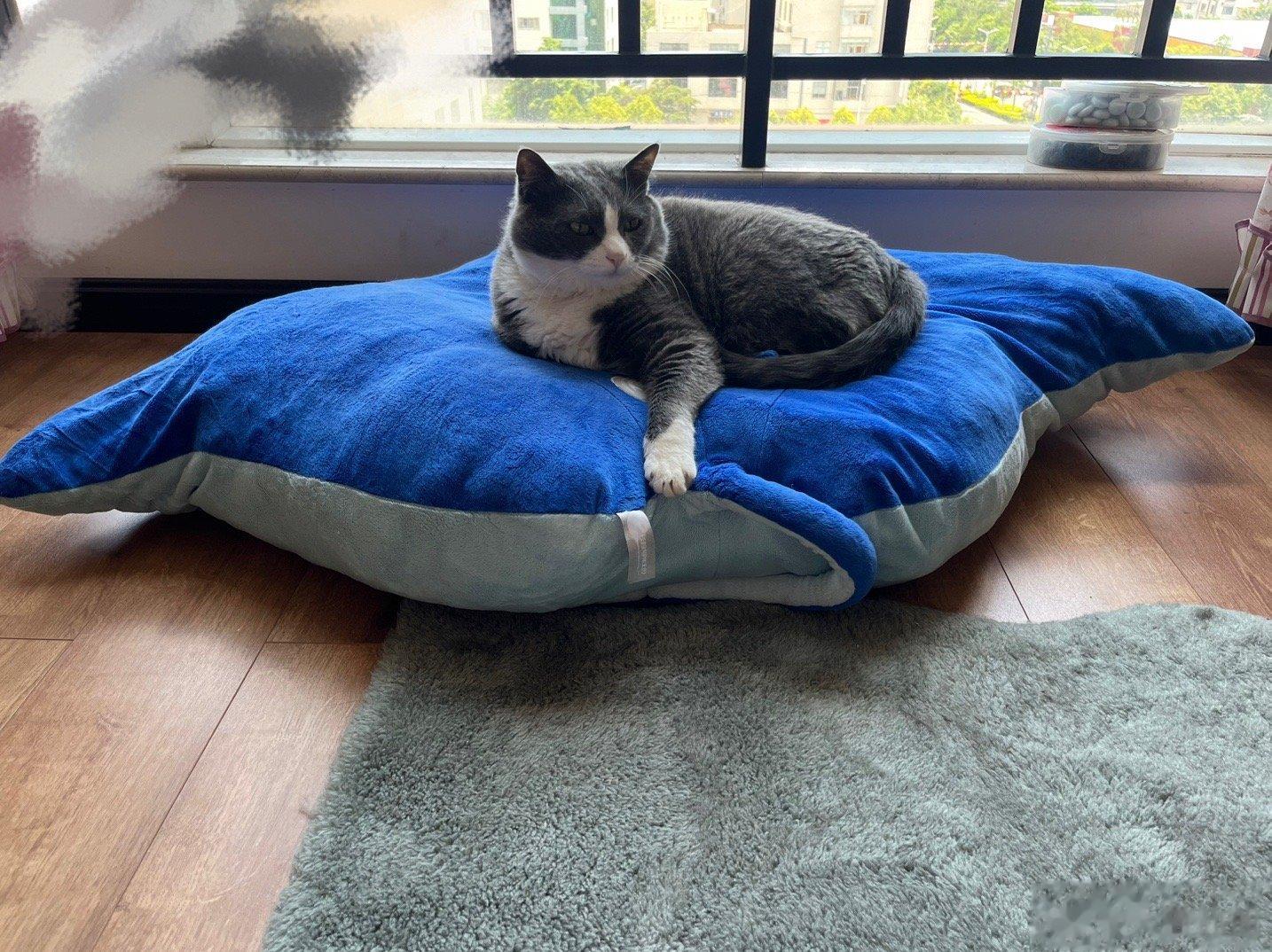 大海航行靠舵手～#憨猪能量[超话]# ​​​