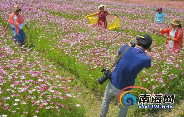 博鳌花开迎客来，共绘合作新画卷

当春风轻拂琼州大地，博鳌亚洲论坛年会的大幕再度
