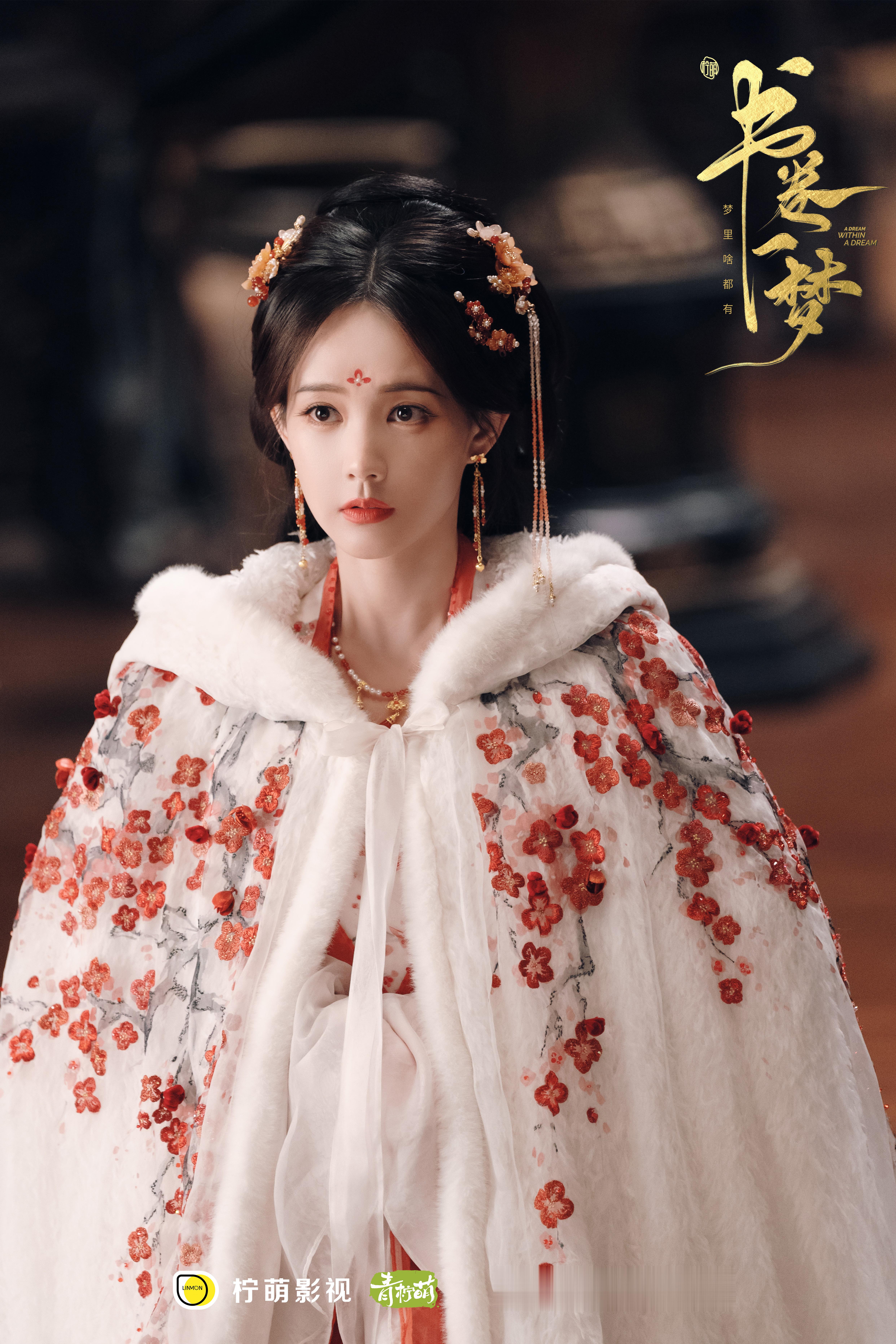 李一桐 《书卷一梦》宋一梦剧照-白斗篷（小碎花） ​​​