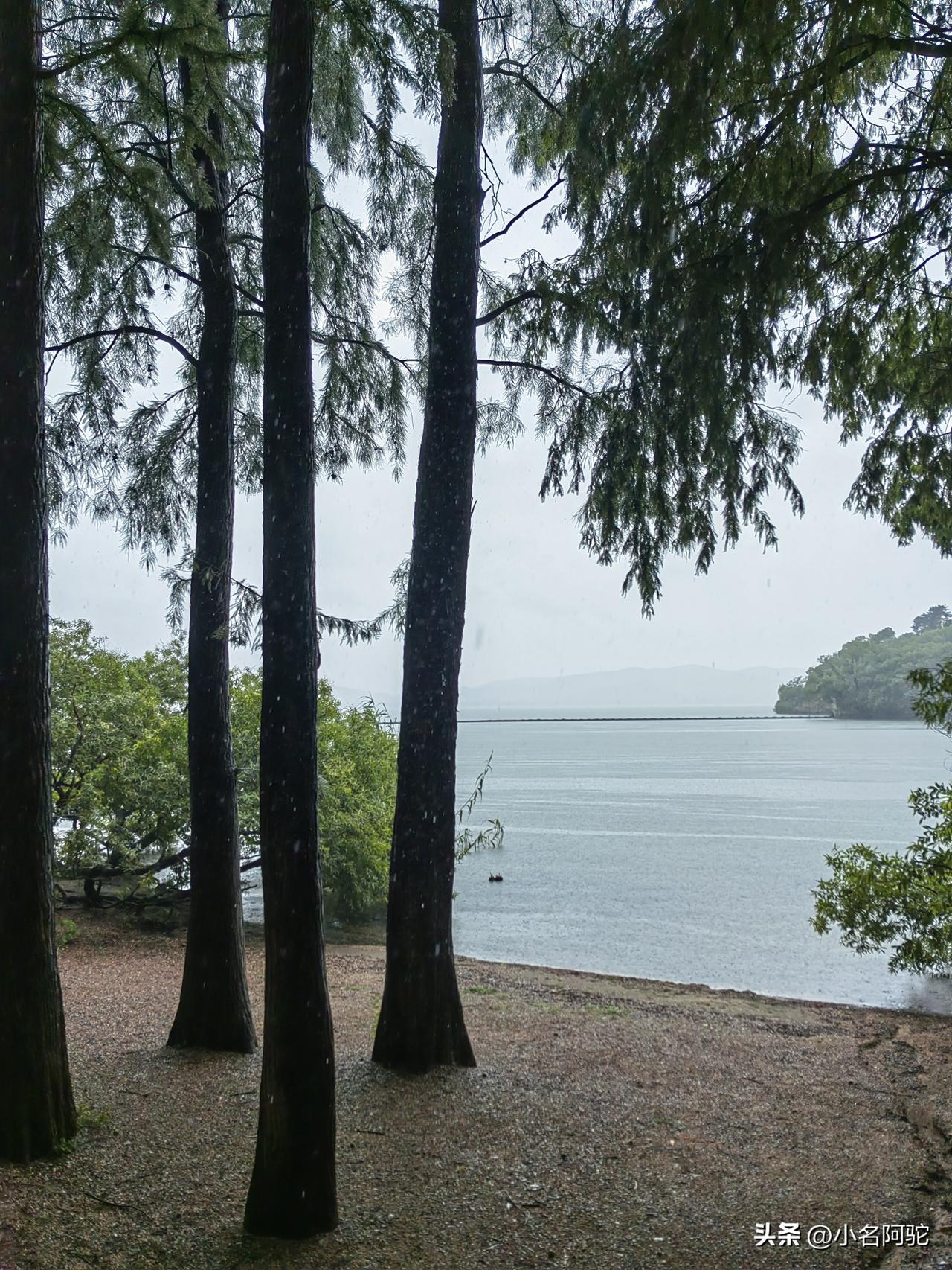 雨中游太湖
如果不标地，会误以为这是某个海滩，其实这是无锡太湖。
从无锡市里到太