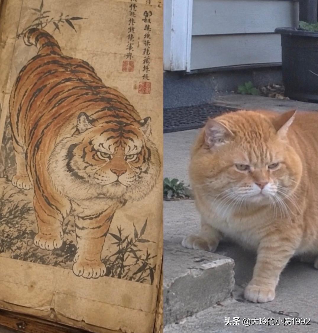 记得去年在东京看的 圆山应举的画展  ，他就是画了很多老虎，但是他从来没见过老虎