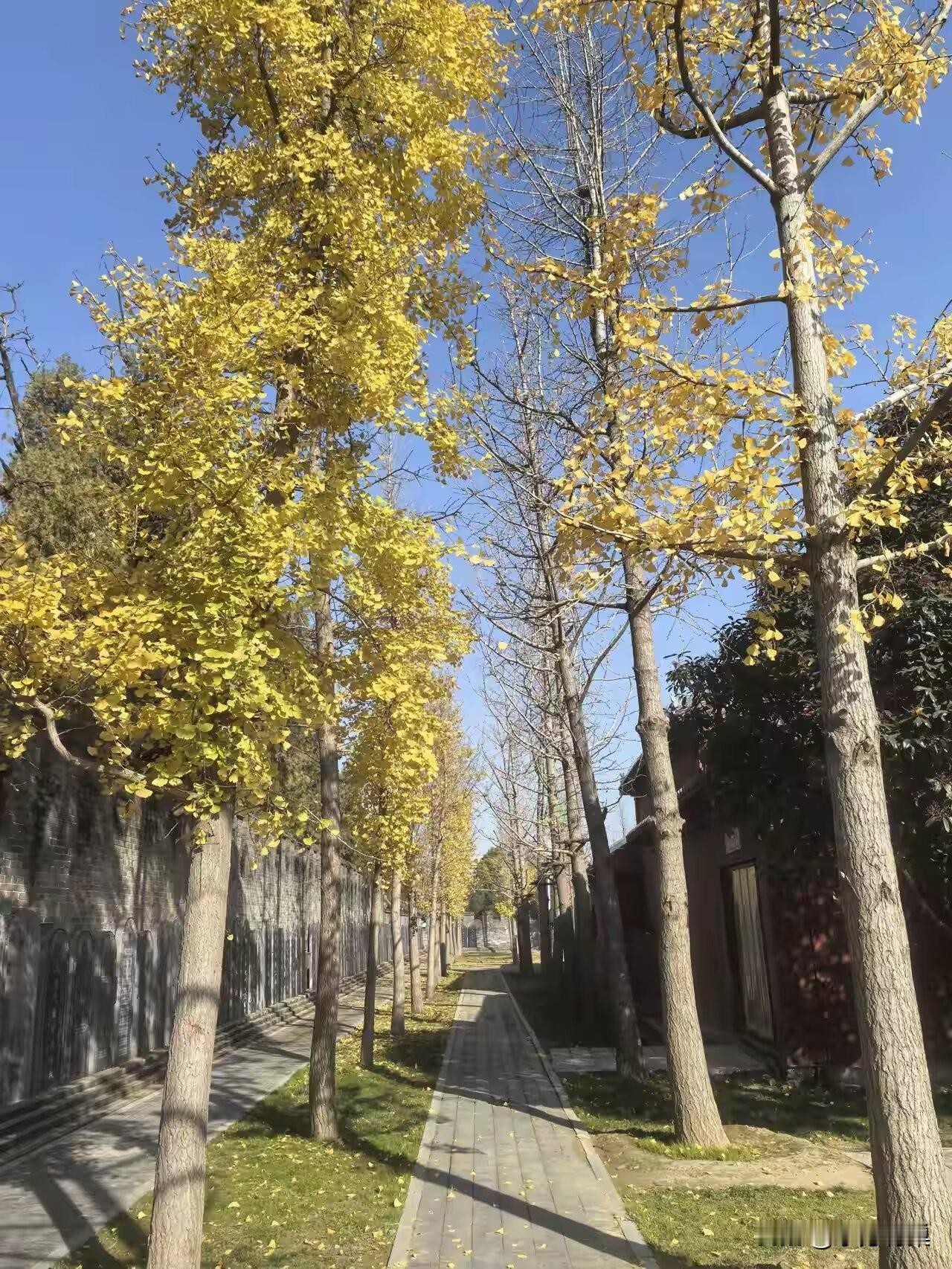 不碰他的“独处边界”：

他的社交圈、兴趣爱好或独处时光，给足信任别纠缠。过度黏