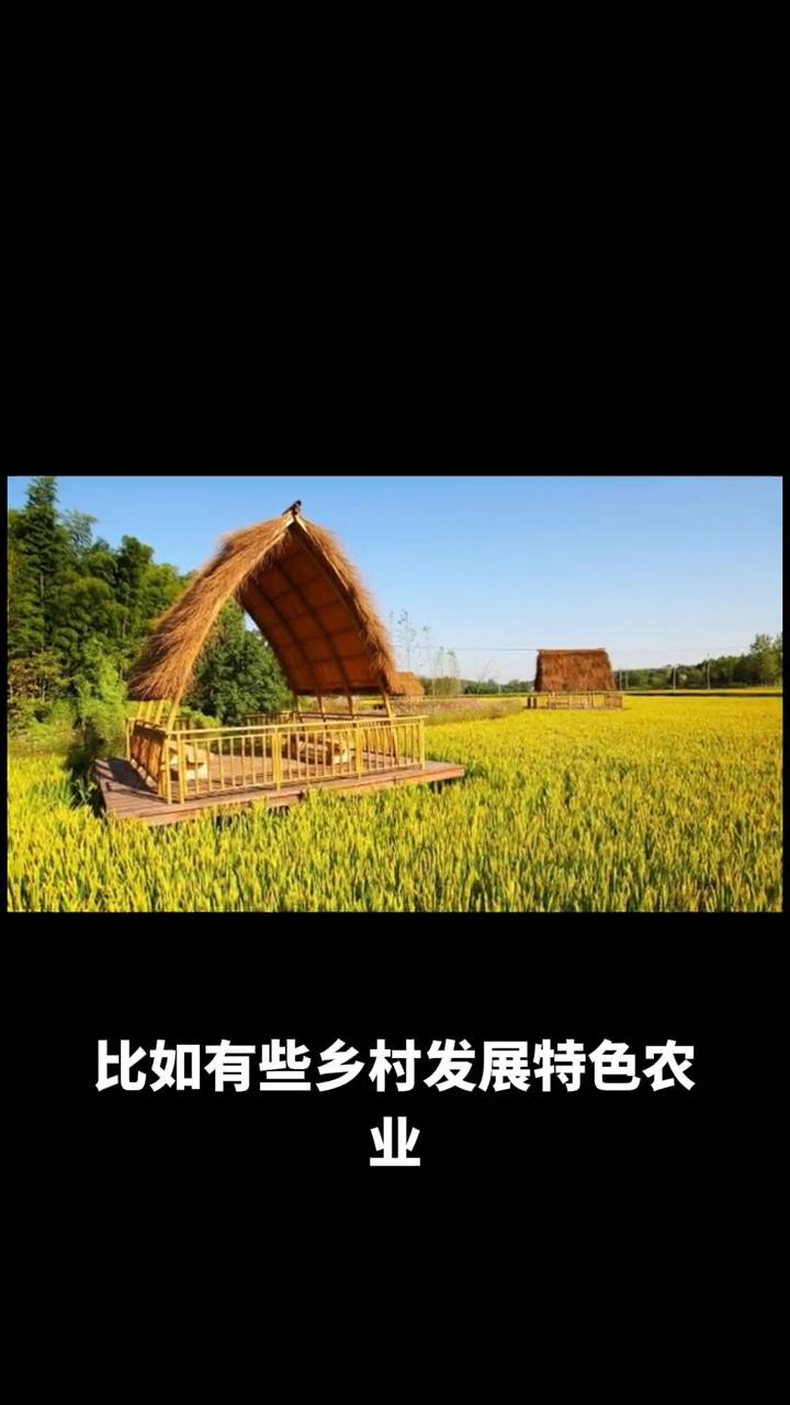 乡村振兴要留住人才得从多方面着手。
·首先是就业机会，不能让人才回乡后无事可做。