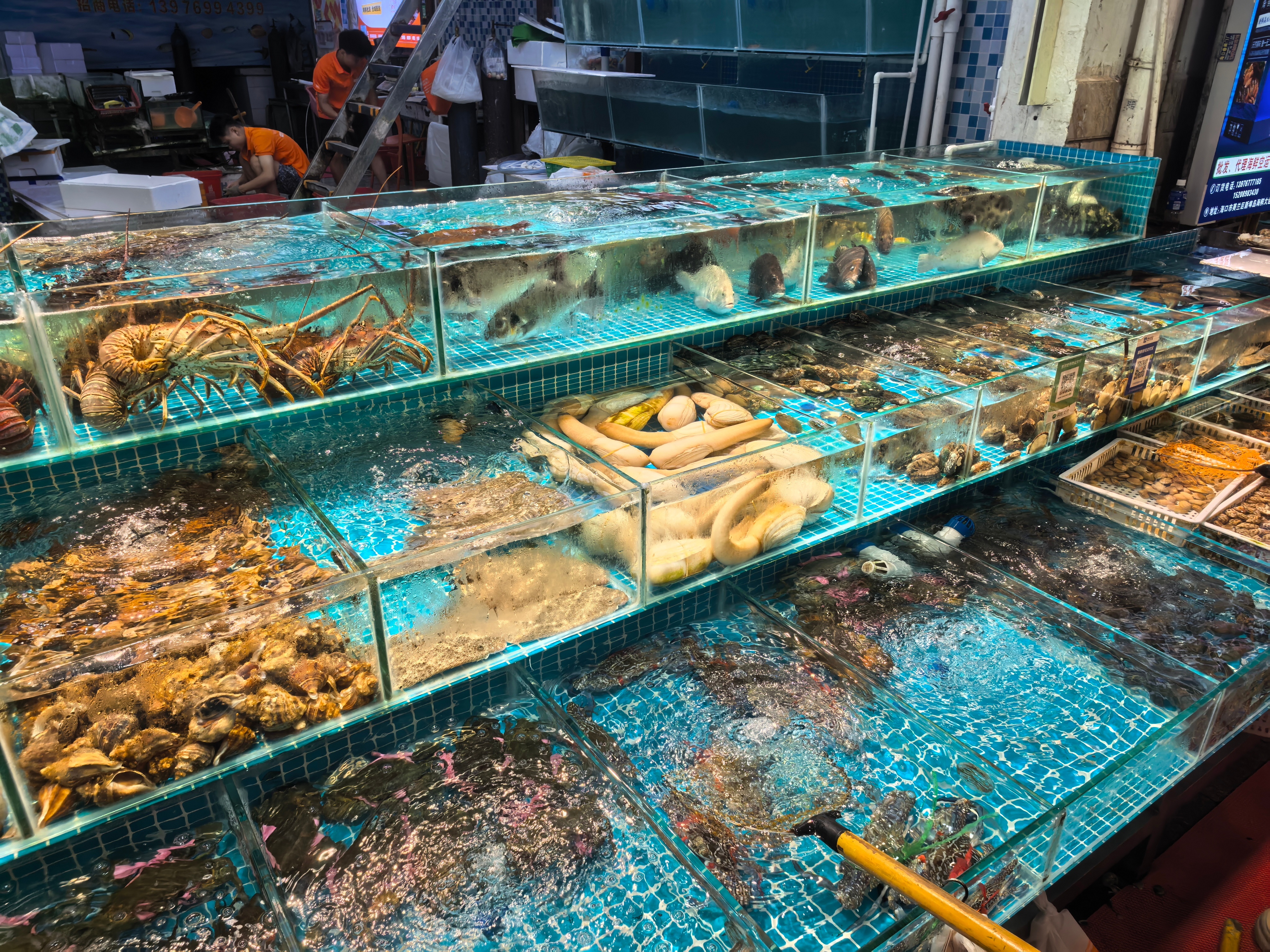 海口的海鲜价格比你们那边如何 ​​​