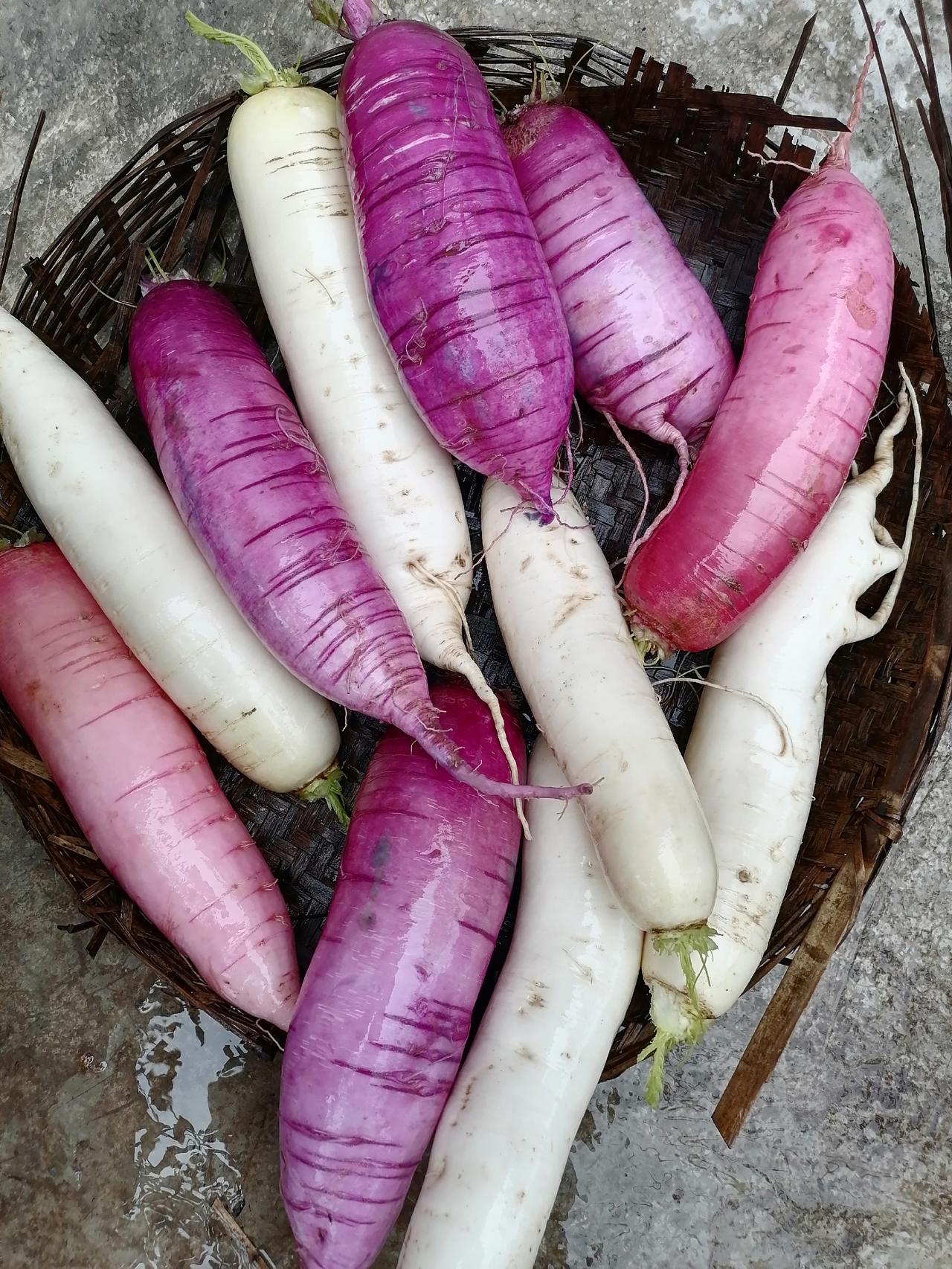 #真材实料才能做出好味道 酸萝卜走起