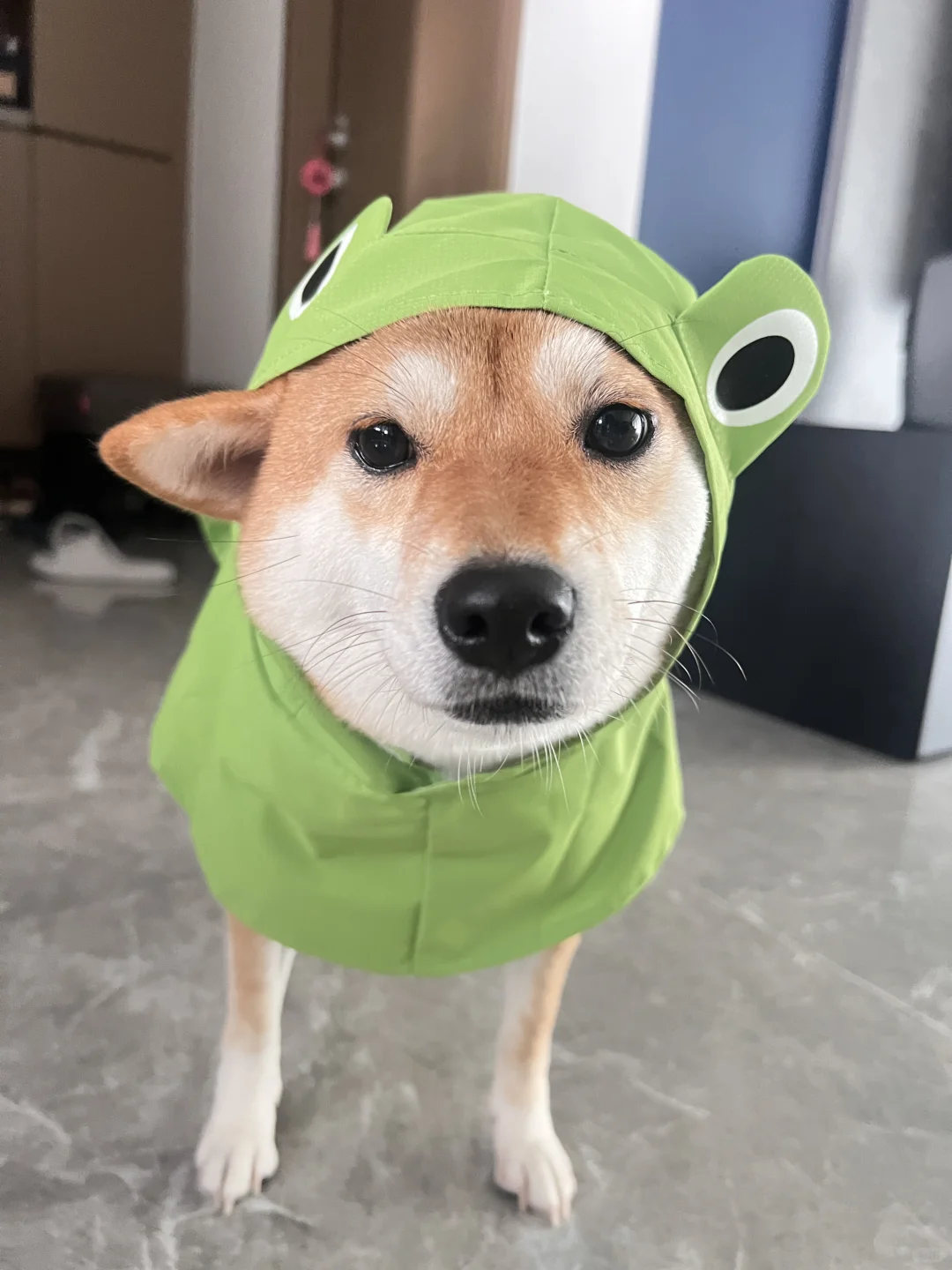 穿上雨衣是一步路都不会走的