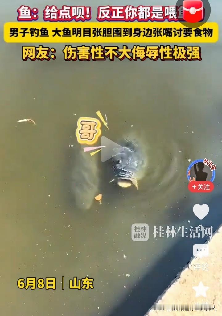 这鱼是地主家养的吗？娇生惯养，饭来张口。

一男子去钓鱼，遇到了一件有趣的事情。