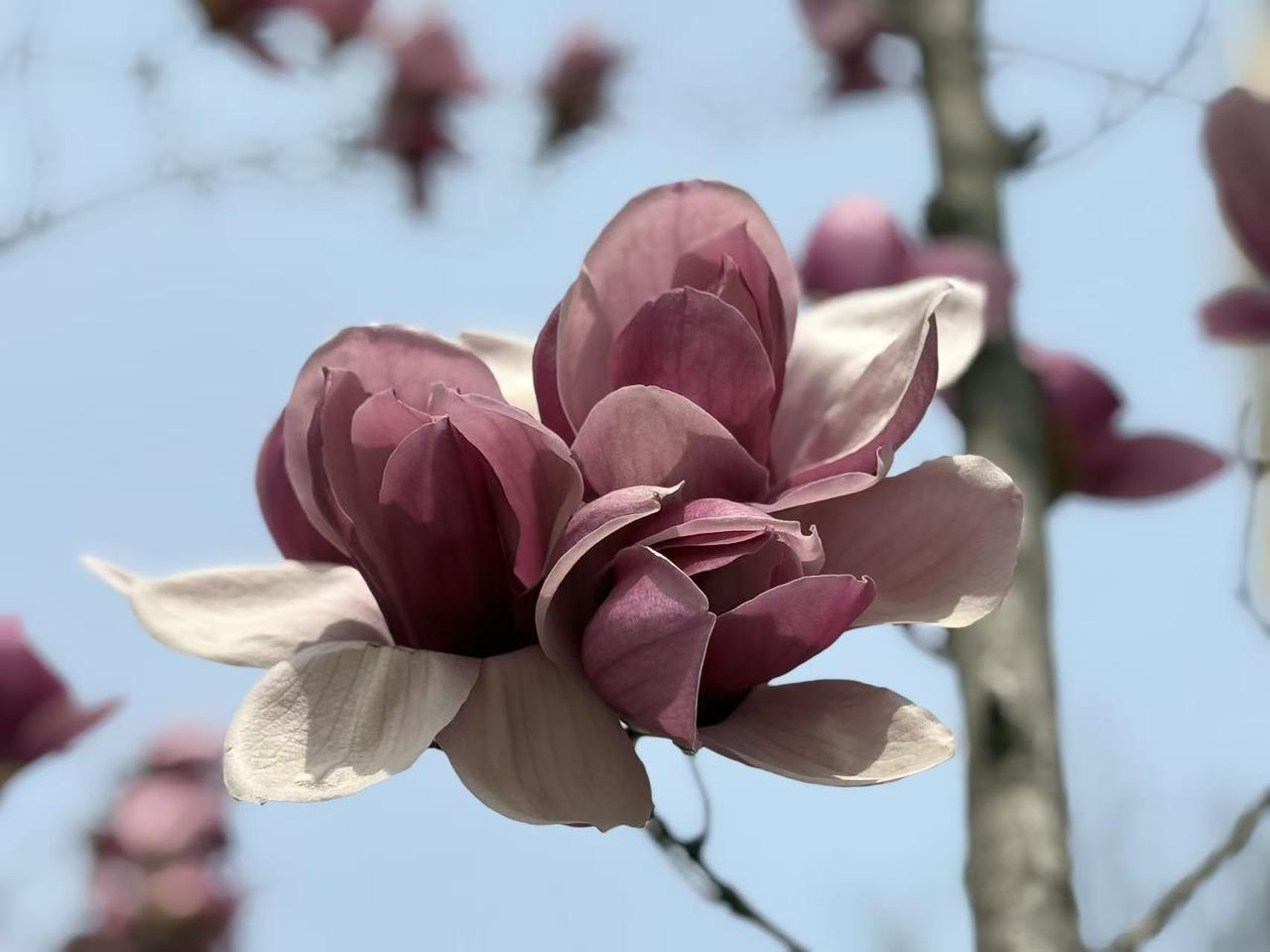 如何看待现在流行的老年大学 现在老年大学越来越流行，我觉得这简直是太棒了！老年大