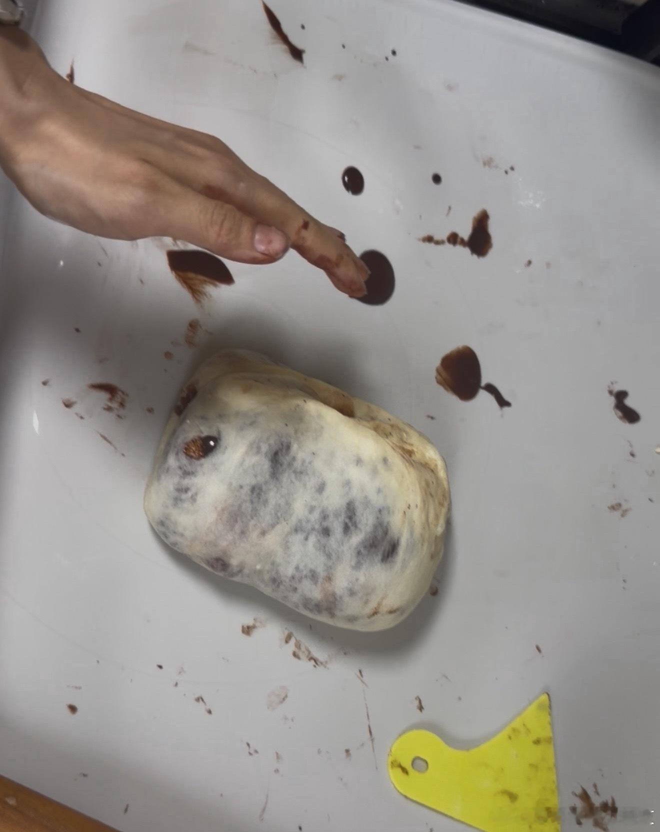 终于理解昨天有姐妹说巧克力大理石吐司难做了，做面包以来最狼狈的一次放弃整形直接发