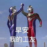 卢燕热逛历史