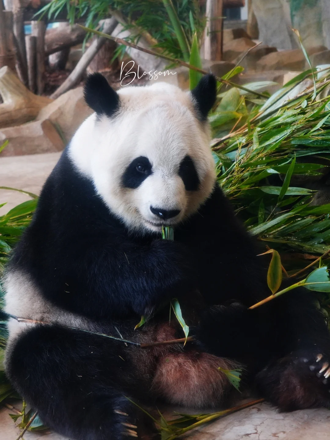 娅星22岁生日快乐，愿一切安好