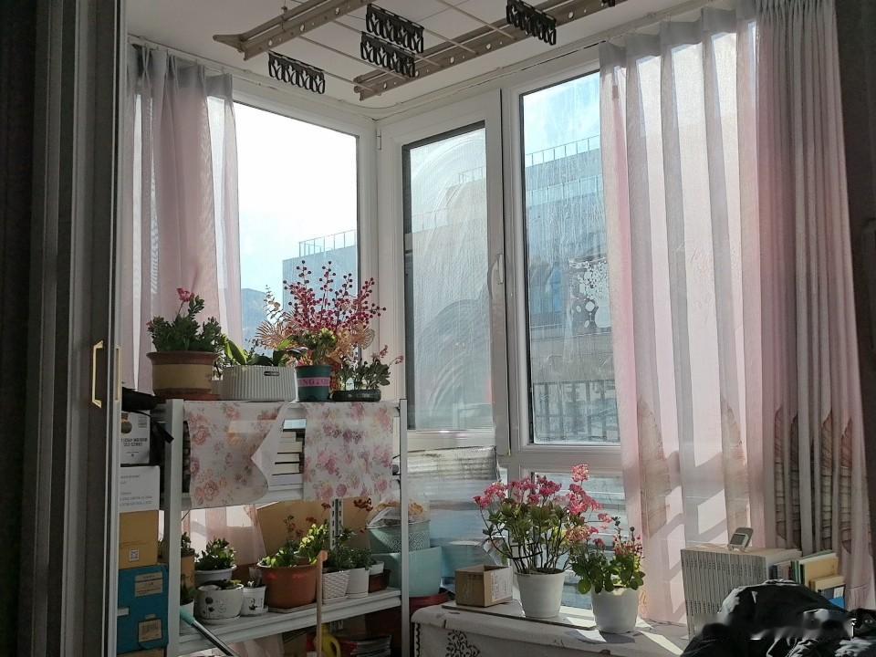 冬日的阳光洒满鲜花开放的阳台