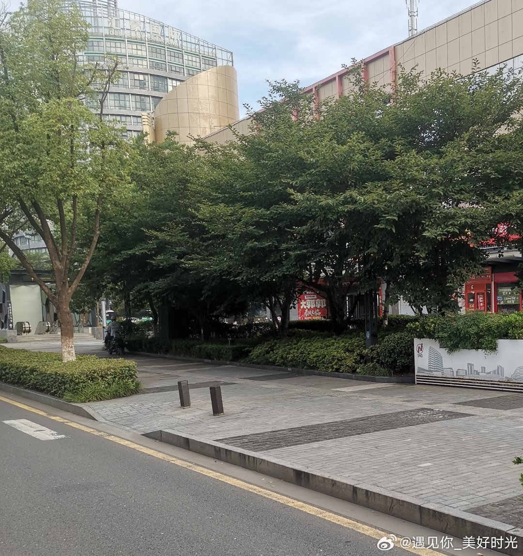 今天有点闷热 
