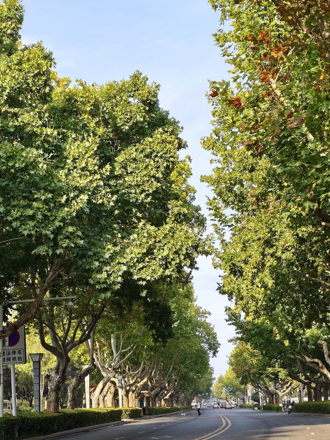看了一下天气预报，今天气温15～26℃，体感温度16℃。
看到街上的人大都加了件