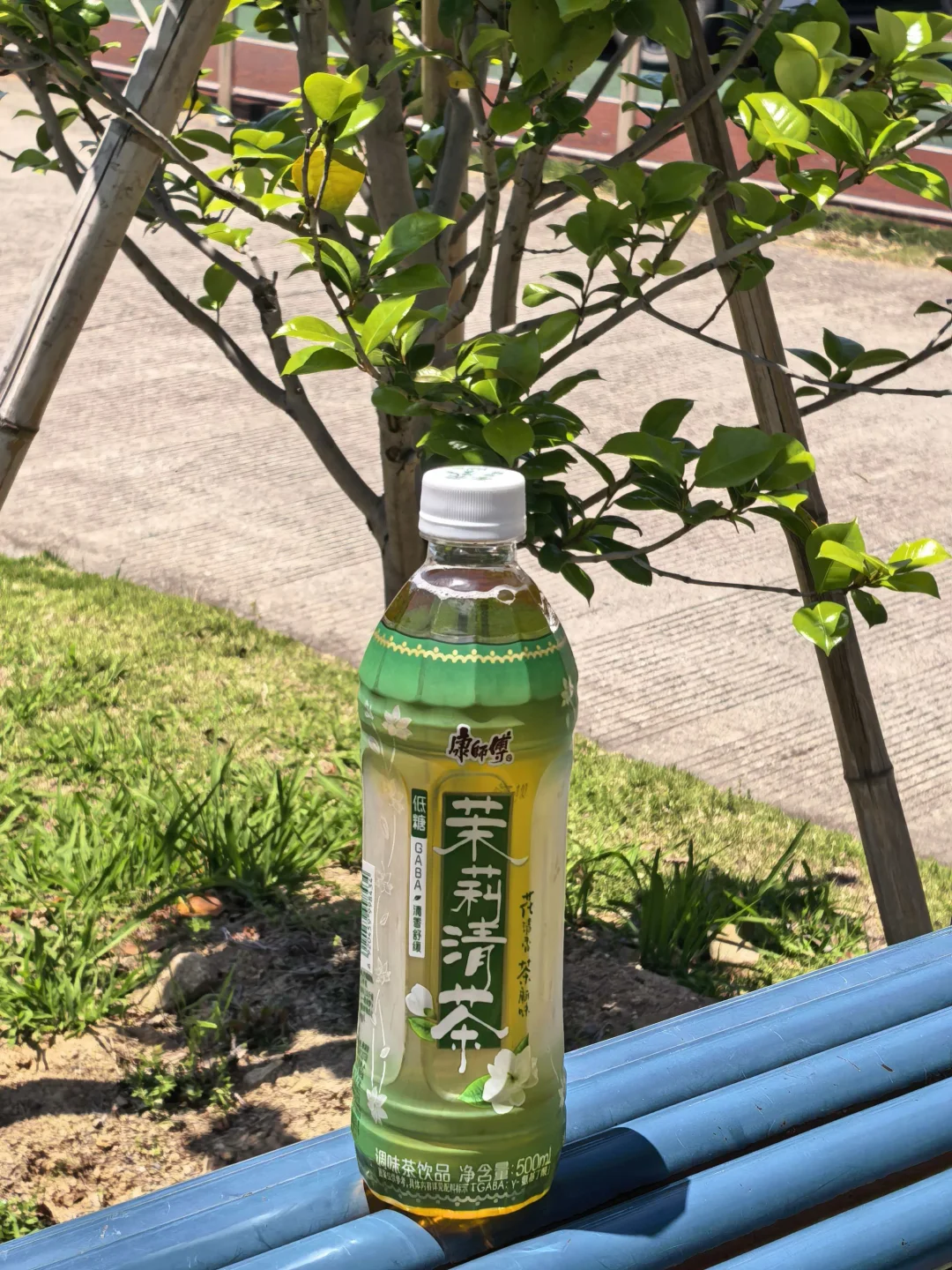 DNA动了☁️