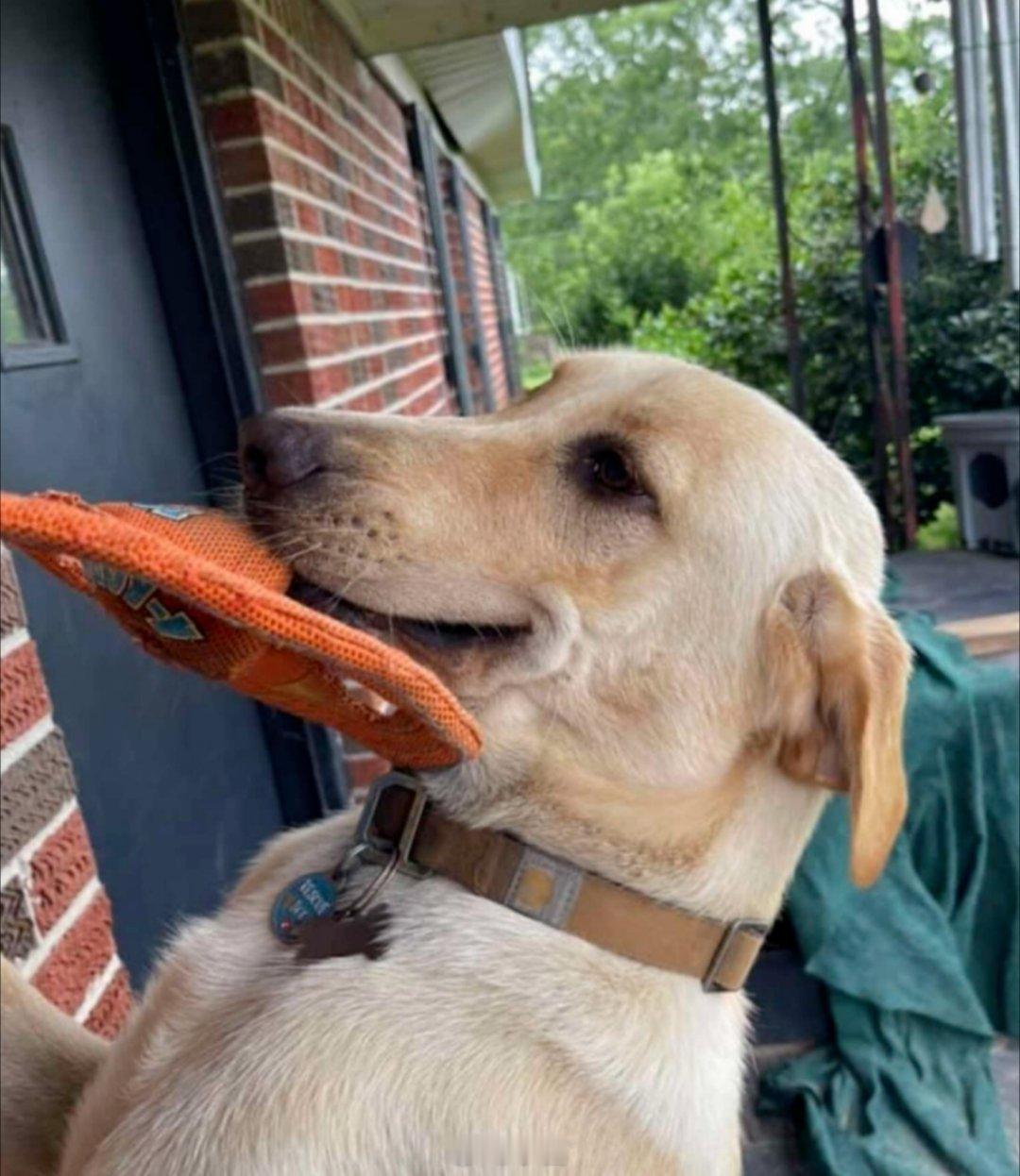 我也成了回家会带礼物的大人是可以平静支出5000的大人了曾经，父母为我遮风挡雨，