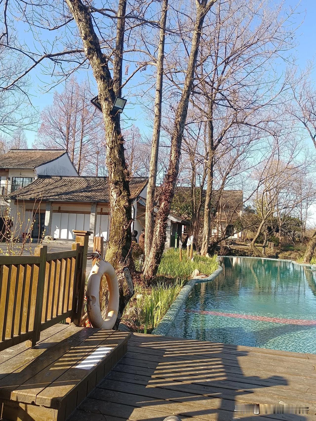 在杭州
我只玩一个景点
它就是西溪湿地
曾经沧海难为水
游过了西溪湿地
其它景点