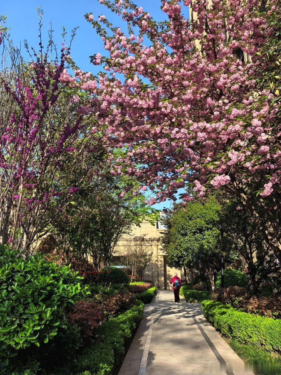 【股权激励｜绩效考核指标如何科学设定？】核心观点：股权激励的行权/解锁，本质是对