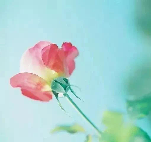 冲动会做下让自己无法挽回的事情。